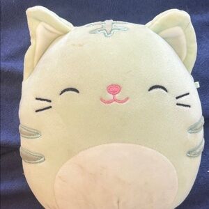 Pastel Green, Tabby Cat, Squishmallow, 6 inch, Cute Toy, Soft, Gift
